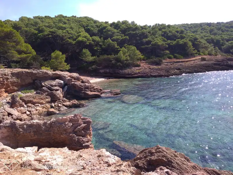 Porto Conte Nemzeti Park Szardínia szigetén Alghero közelében Egy napsütötte tájkép a Szardínia szigetén, Alghero közelében található Porto Conte Nemzeti Park partvidékének egy részéről. A kép előterében durva, töredezett barna kőzetből álló sziklás part húzódik, amely fokozatosan ereszkedik a tiszta, áttetsző tengervízbe. A víz sekélyebb részei élénk türkizkék árnyalatúak, a homokos meder látható a felszín alatt, míg mélyebben sötétebb kékbe hajlik, és a napfény csillog rajta. A partvonalat egy sűrű, sötétzöld fenyőerdő borítja, amely egy domboldalon húzódik végig, és egészen a sziklás part széléig ér. Az erdő felett halványkék égbolt látható kevés felhővel.